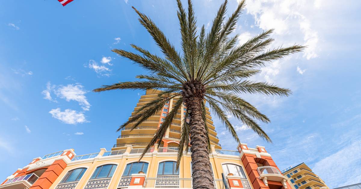 A tall building behind a palm tree is viewed from ground level. An American flag sways on a sunny day.